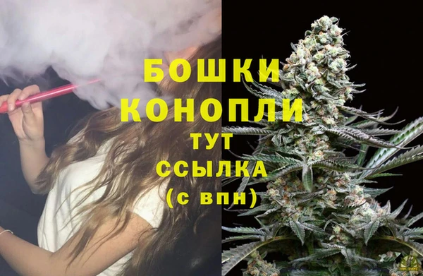 ешки Арсеньев