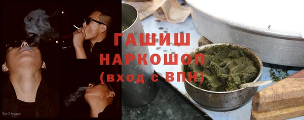 ПСИЛОЦИБИНОВЫЕ ГРИБЫ Чердынь