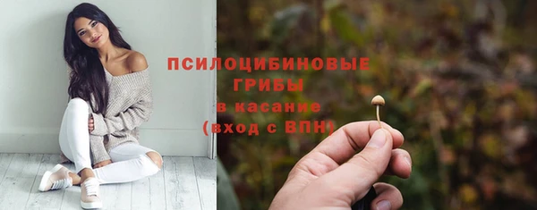 ешки Арсеньев