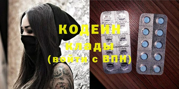 ешки Арсеньев