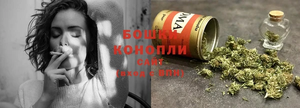 ешки Арсеньев