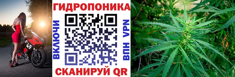 сколько стоит  Бабушкин  Конопля VHQ 
